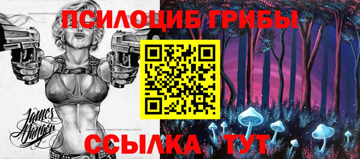 Псилоцибиновые грибы Magic Shrooms Соль-Илецк